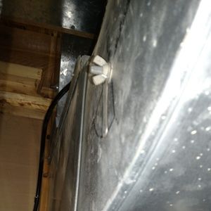 Meet your Posher, Cynthia